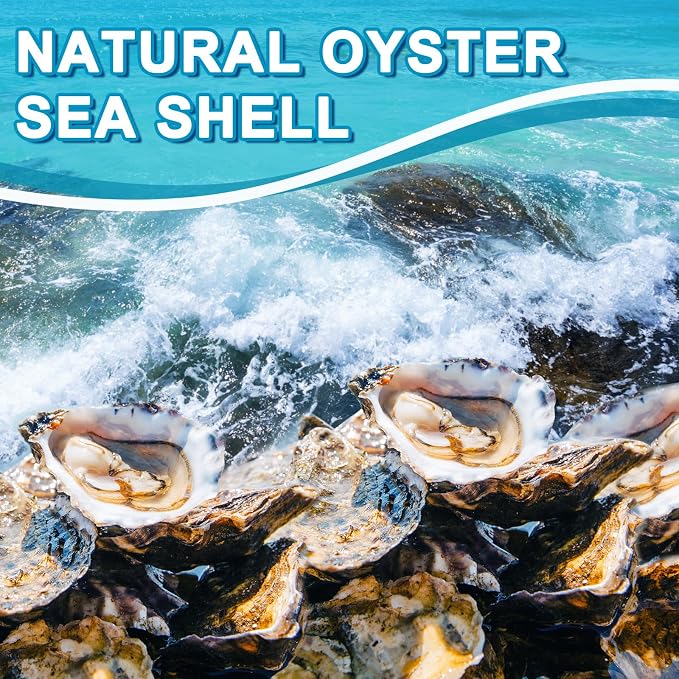 QICQDRAM 20PCS Flat Oyster Shells 2-3" Small Natural White Shells - Image 4