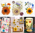 Woohome 44 PCS Real Pressed Flowers, Dry Leaves Natural Dried Pressed Leaves - Image 2