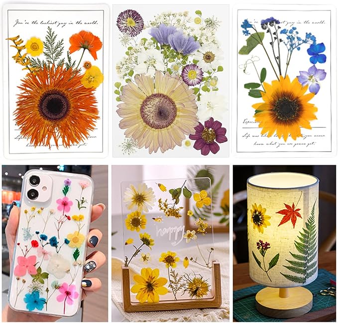 Woohome 44 PCS Real Pressed Flowers, Dry Leaves Natural Dried Pressed Leaves - Image 2