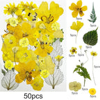 Woohome 200 PCS Natural Dried Pressed Flowers and Natural Dried Pressed Leaves - Image 4