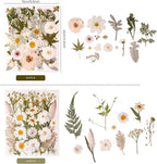 80PCS Natural Color Pressed Dried Flowers, Real Pressed Flowers, - Image 3