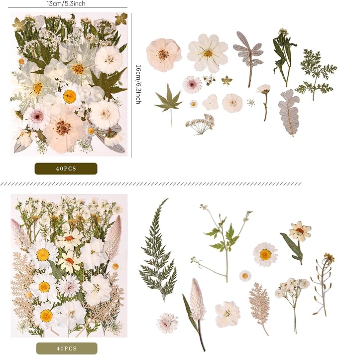 80PCS Natural Color Pressed Dried Flowers, Real Pressed Flowers, - Image 3