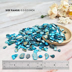 Natural Crushed Shells Chips Irregular Mother of Pearl Seashell Fragments Sea - Image 2