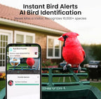 Smart Bird Feeder with Camera Solar Powered, 2K HD Video, AI Bird Species - Image 3