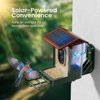 Smart Bird Feeder with Camera Solar Powered 2K HD Video, 000+ Species AI - Image 4