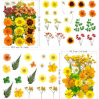 MIKIYA 88Pcs Yellow Pressed Dried Flowers - Image 6
