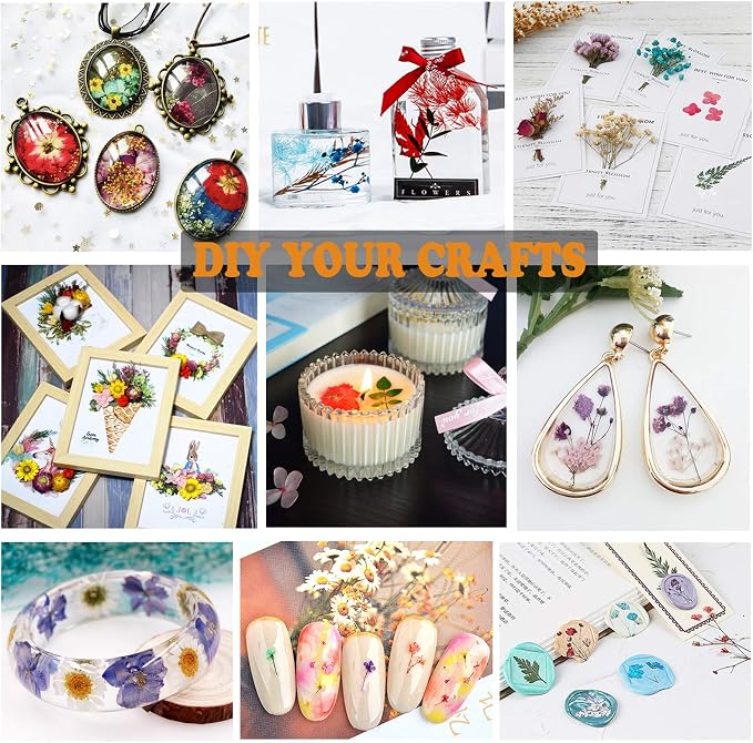 90Pcs Black Pressed Dried Flowers - Image 7