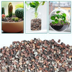2.5lbs Mix Horticultural Lava Rock - Image 6