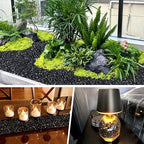 2.2 lb Natural Polished Black Pebbles, 3/8-1/2 Inch Decorative White Rocks - Image 5
