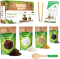 Terrarium Kit, Succulents & Indoor Plants Set DIY | Starter Pack by PYEFCRAFTS