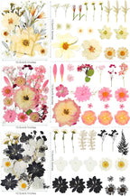 320PCS Dried Pressed Flowers Bulk - Image 5