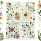 80Pcs Pressed Flowers, Nail Art, Scrapbooking, Candle Holder, Jewelry Making by Buzidao