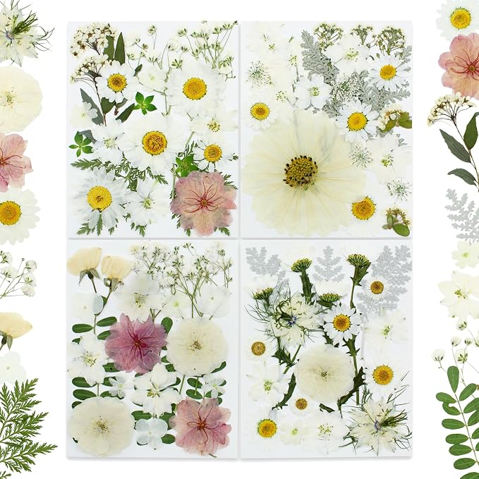 80Pcs Pressed Flowers, Nail Art, Scrapbooking, Candle Holder, Jewelry Making by Buzidao