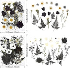 DALARAN Black Dried Pressed Flowers - Image 6