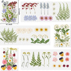 NESCCI Dried Pressed Flowers for Resin - Image 3