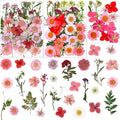 83 Pcs Pink Real Dried Pressed Flowers Natural Leave Petals by LUCISKY