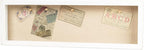 Freezing point Shadow Box Frame 8x25 Flower Shadow Box Pin Display Case Cabinet - Image 3
