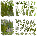 136Pcs Pressed Dried Leaves and Butterfly - Image 5