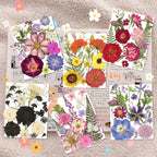 140Pcs Multi-Style Dried Pressed Flowers & Leaves - Image 2