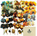 60PCS Botanical PET Stickers Set – Waterproof Flower and Butterfly Designs by Unknown