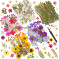 Dried Pressed Flowers for Resin, Real Pressed Flowers Dry Leaves Bulk Natural by Cruzix
