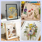 207 Pcs Dried Pressed Flowers for Crafts, Dried Pressed Flowers for Resin - Image 6