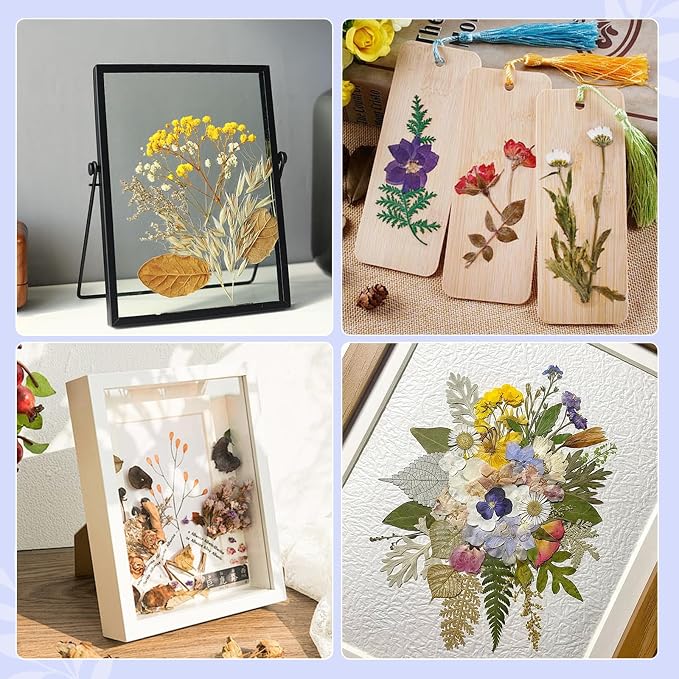 207 Pcs Dried Pressed Flowers for Crafts, Dried Pressed Flowers for Resin - Image 6