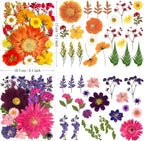 90Pcs Big Dried Pressed Flowers - Image 6