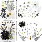 Nuanchu Black White Dried Pressed Flowers - Image 4
