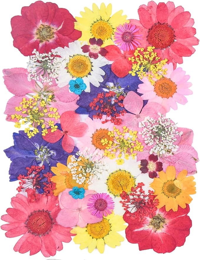 YouthBro Dried Pressed Flowers for Resin Molds, Real Natural Pressed Flowers by YouthBro