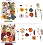 5 Packs of 140 Pressed Dried Flowers and Leaves - Image 4