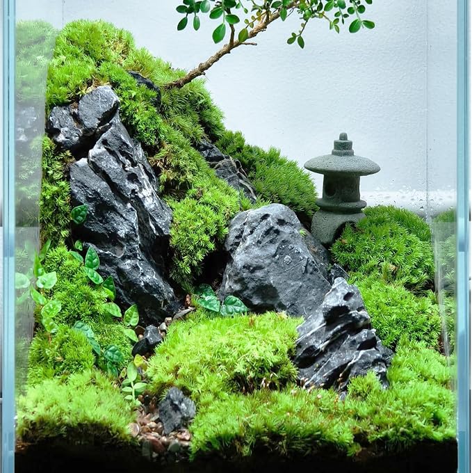 Natural Rocks Seiryu Stone 1-2.5 Inches Decorative Stones - Image 5