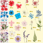 Fabbay 712 Pcs Dried Pressed for Resin - Image 2