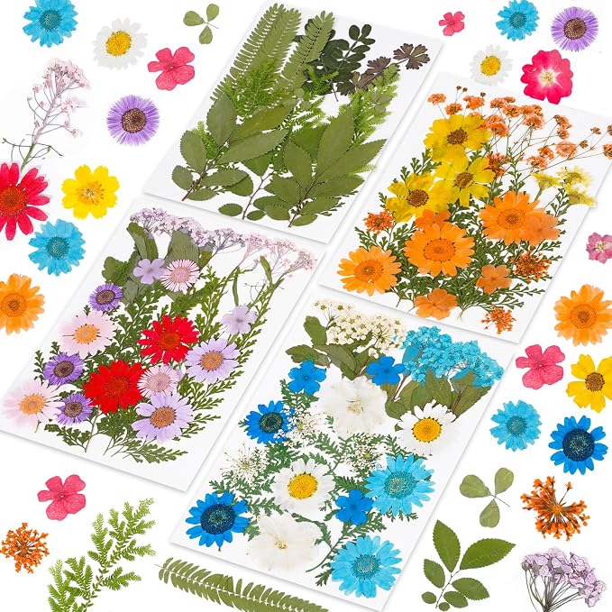 96Pcs Dried Pressed Flowers for Resin, Bulk Natural Dried Flowers, for by Kaddmedia