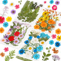 96Pcs Dried Pressed Flowers for Resin, Bulk Natural Dried Flowers, for by Kaddmedia