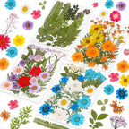 96Pcs Dried Pressed Flowers for Resin, Bulk Natural Dried Flowers, for by Kaddmedia
