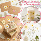 96 Pcs Natural Dried Pressed Flowers - Image 7