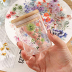 50-Pack Transparent Waterproof Watercolor Wildflower Flower Scrapbook Stickers - Image 6