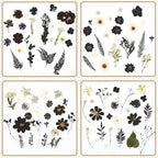 Augshy Black Dried Pressed Flowers, Scrapbooking, Soap Making - Image 5