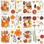 NESCCI 277 Pcs Autumn Dried Flowers - Image 2