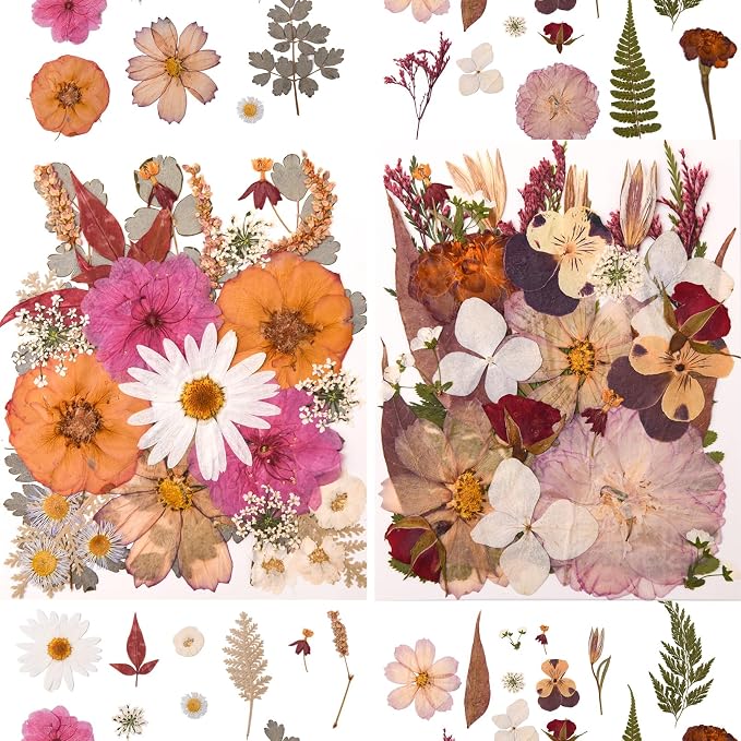 100 PCS Cream Color Pressed Dried Flowers & Leaves | Real Natural Dried Flowers - Image 3