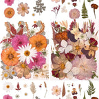 100 PCS Cream Color Pressed Dried Flowers & Leaves | Real Natural Dried Flowers - Image 3