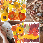 Dried Flowers | 68Pcs Fall Pressed Flower - Image 2