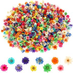 MARFOREVER 420 Pcs Small Dried Flowers - Image 2