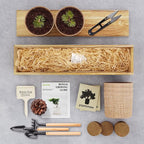 Bonsai Tree Kit for Beginners - Image 2