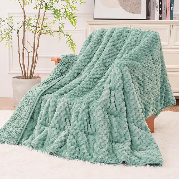 Super Fuzzy Soft Fleece Sherpa Weighted Blanket 20 lbs by EazfyPro