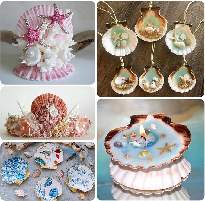 6PCS Scallop Shells 4‘’-4.5" Natural Sea Shells Yellow & Pink Hawaiian Scallop - Image 5