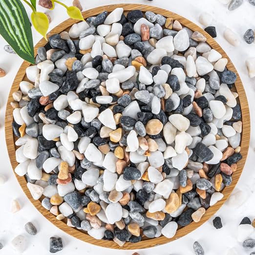 Sukh Mixed Color Pebbles for Succulent and Cactus - 420G 1/5 Inch Succulent by Sukh