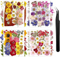 140Pcs Dried Flowers for Crafts, Dried Pressed Flowers for Resin Molds by Wellcometowyegey