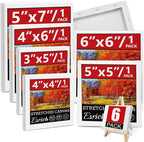 6Packs Mini Stretched Canvases for Painting by ESRICH